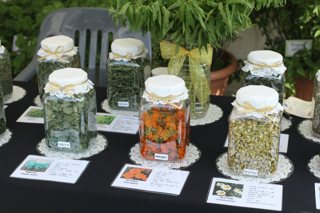 Rustic table with pottery jars and vases of dried flowers and herbs, ready for making an infused ritual oil