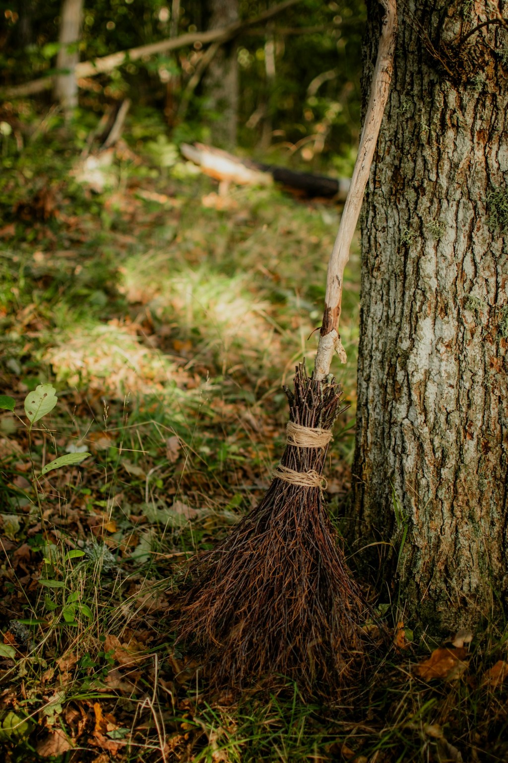A rustic broom leaning against a tree trunk in autumn woodland, a besom setting for a how to make a besom guide