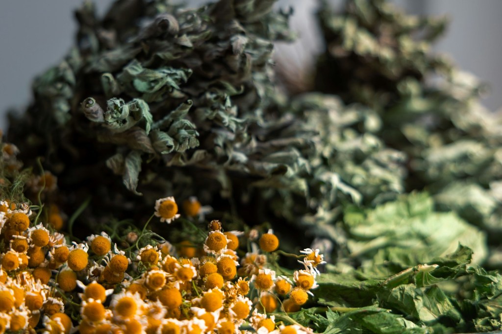 Dried chamomile flowers and green herbs laid out together, the kind of dried herbs used to fill a handmade poppet