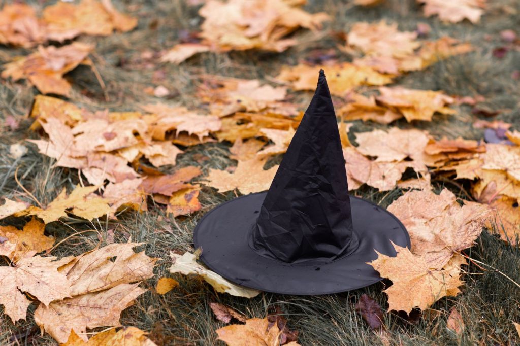 Witches in pop culture: a black witch hat resting on fallen autumn leaves